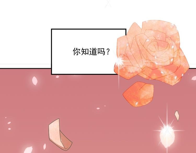 第一话 已逝的爱