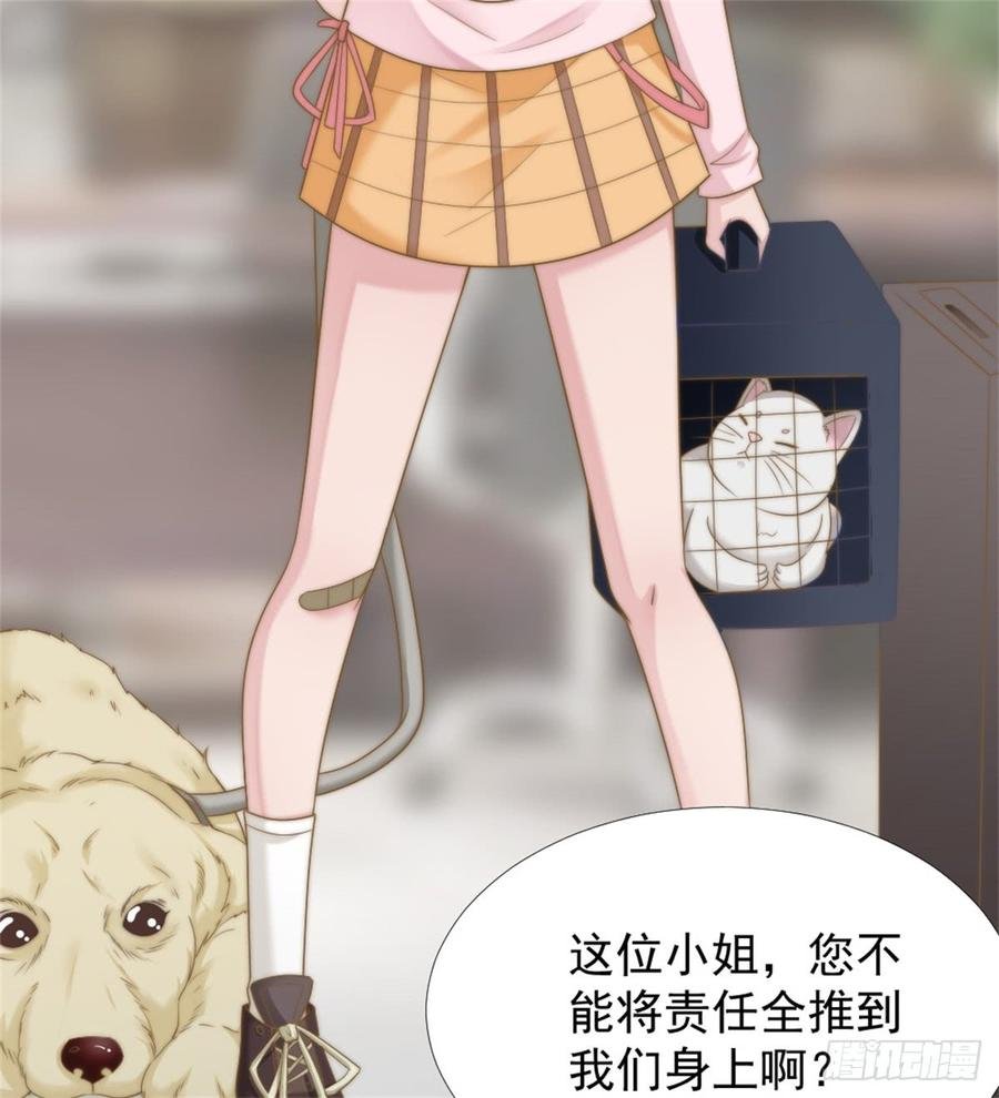 第39话 小可爱