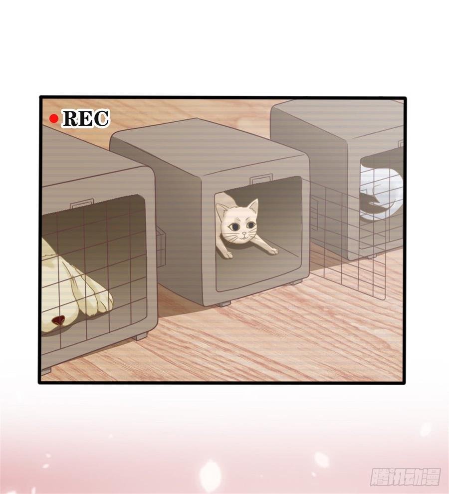 第39话 小可爱