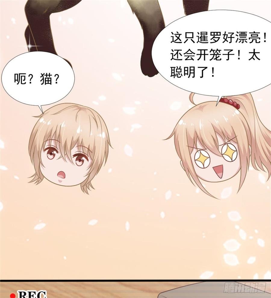 第39话 小可爱