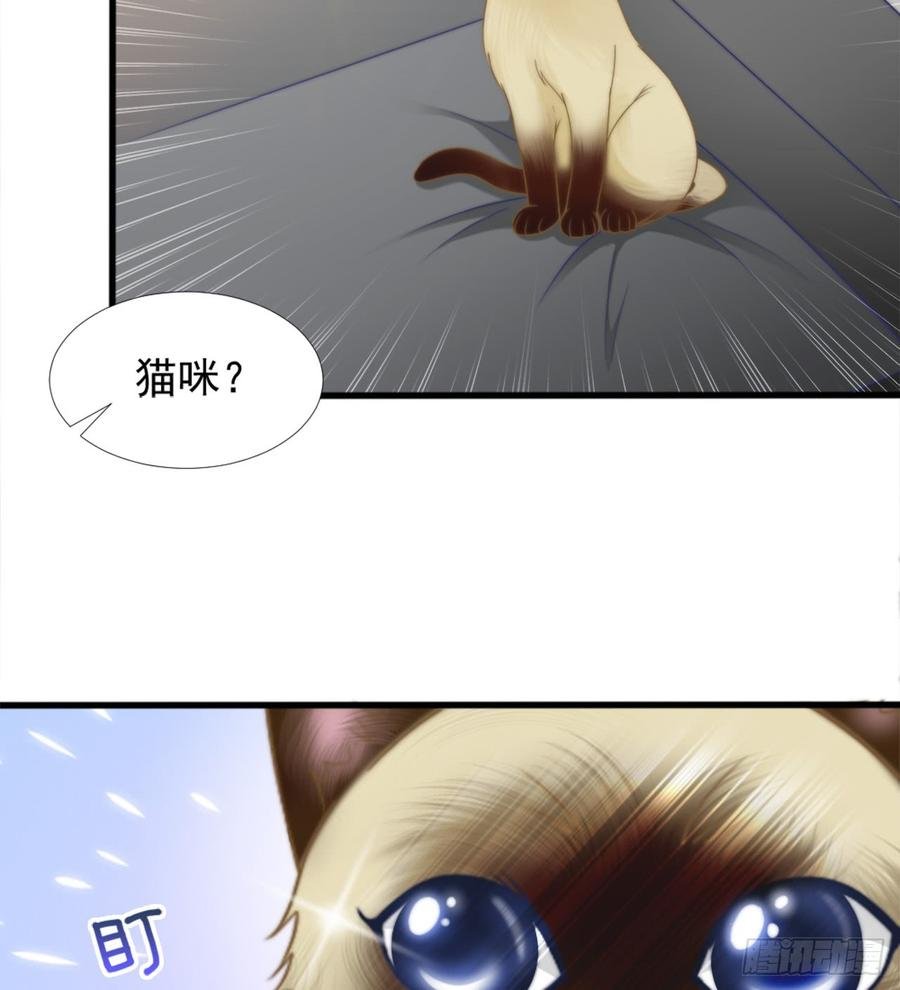 第41话 只能为了你