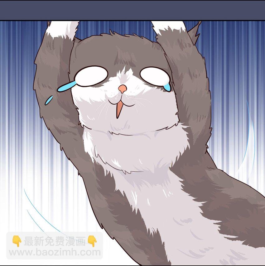 016 你很能打吗？