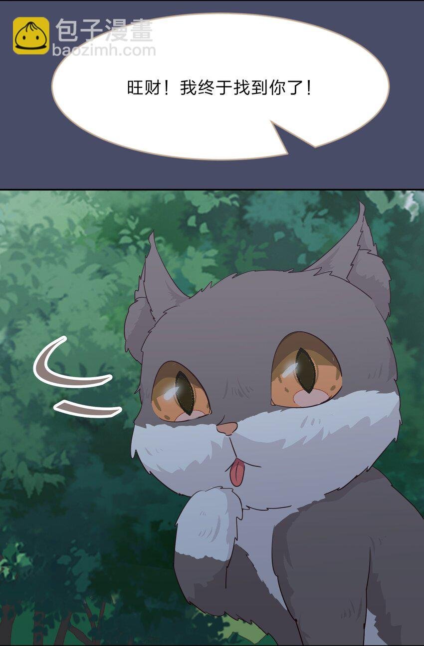 016 你很能打吗？