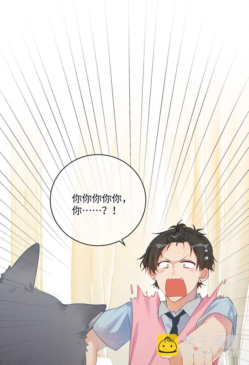 番外 狼的心愿
