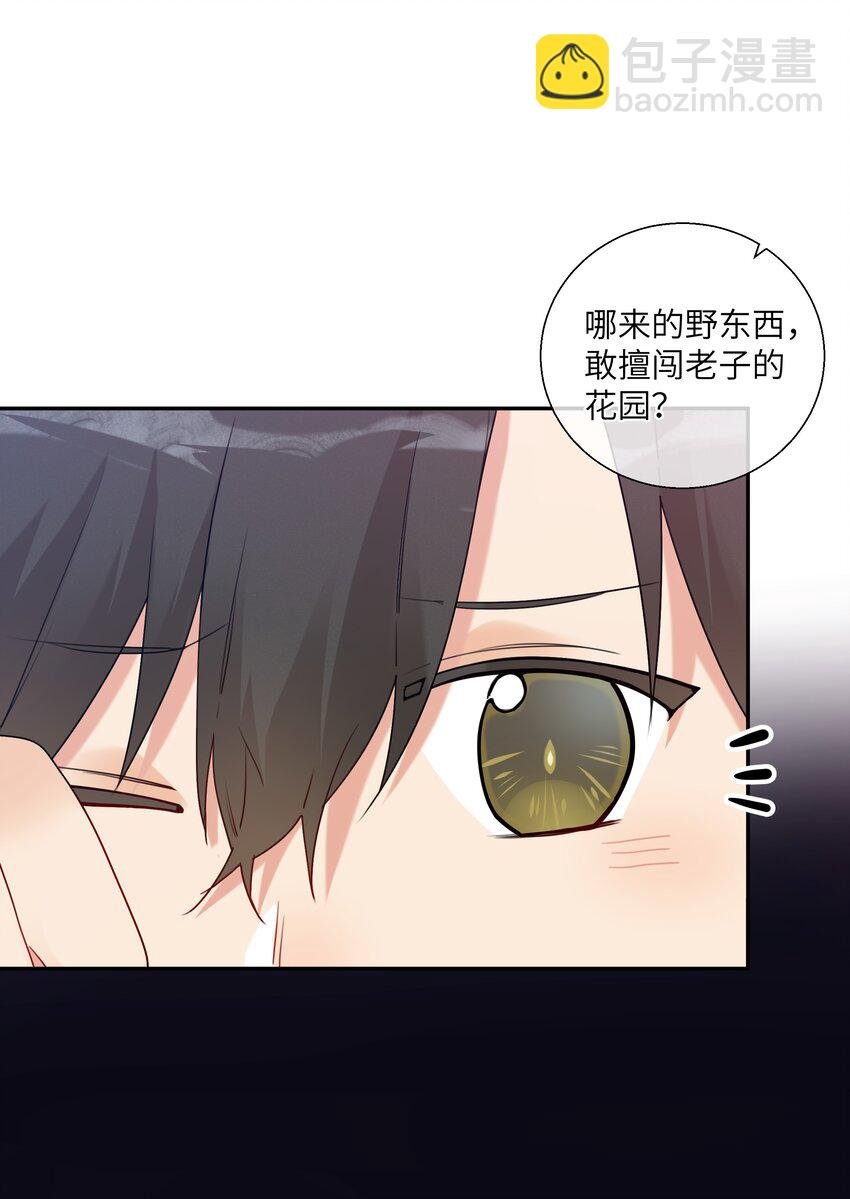 番外篇 大事不好啦！