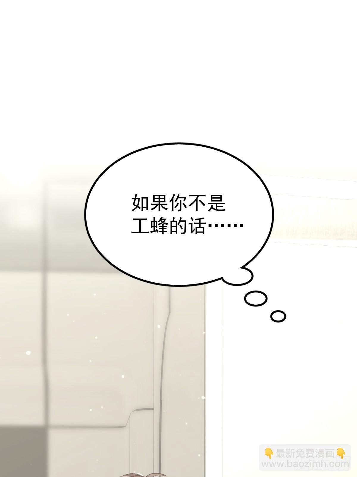 第十二话 有数