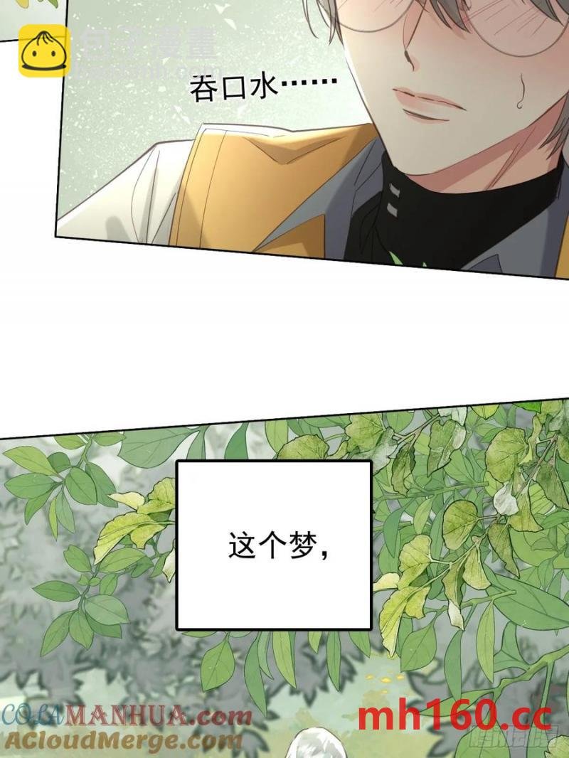 第四十话（下） 梦醒