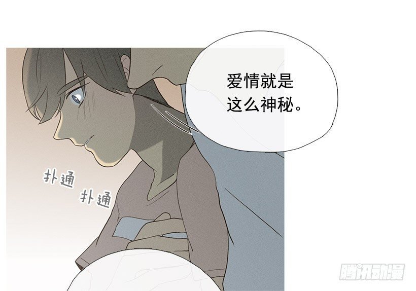 爱情降临