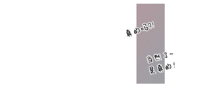 红礼服