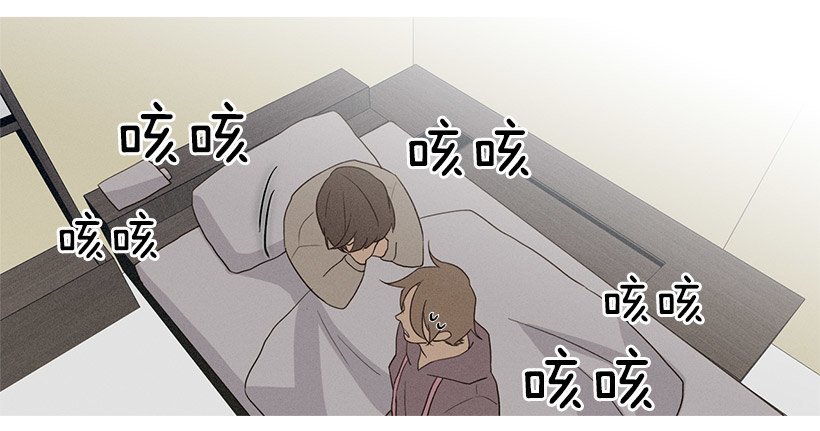 向日葵