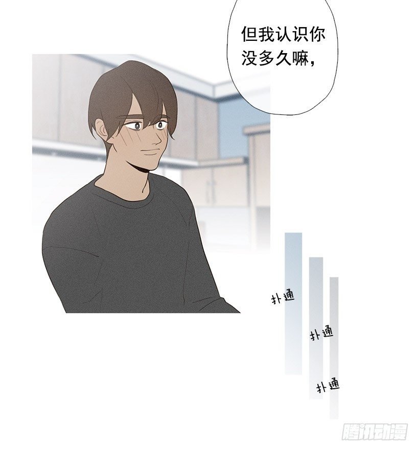 表白的回复