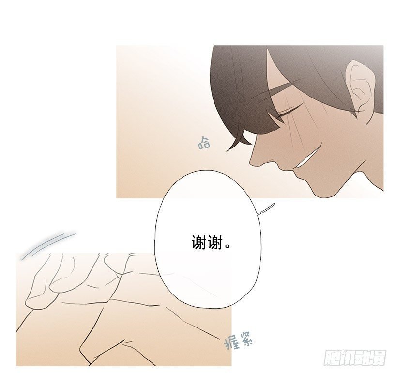 表白的回复