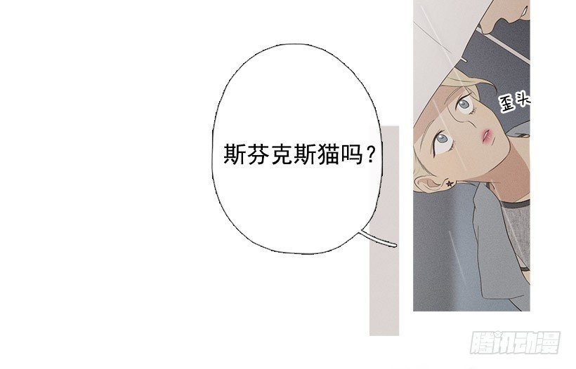 散场后