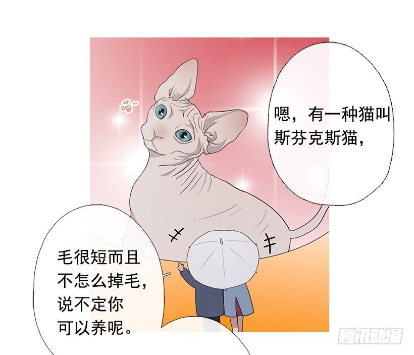 散场后