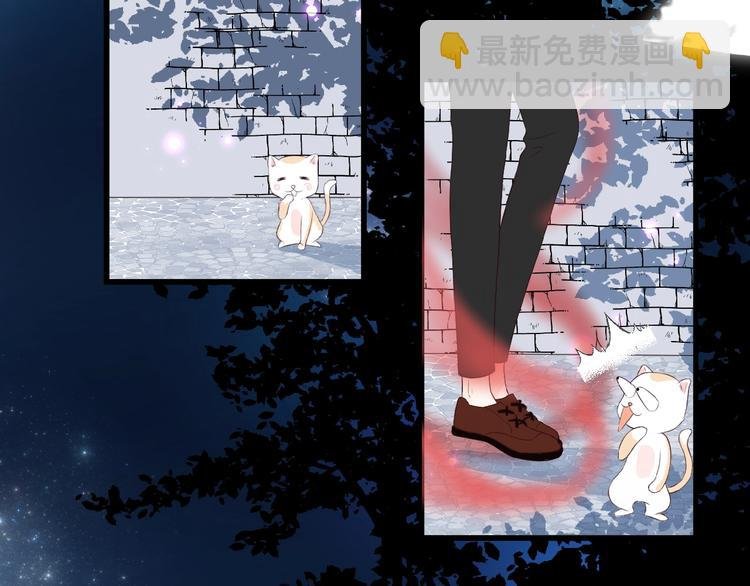 第11话 秘密被发现了？