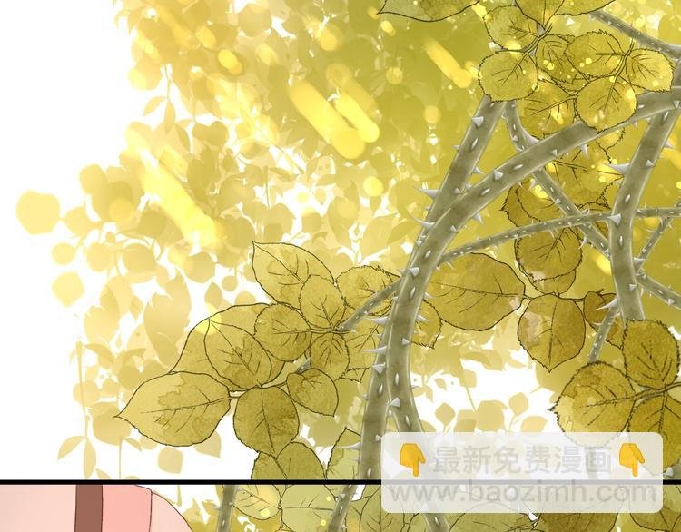 第20话 他的心意