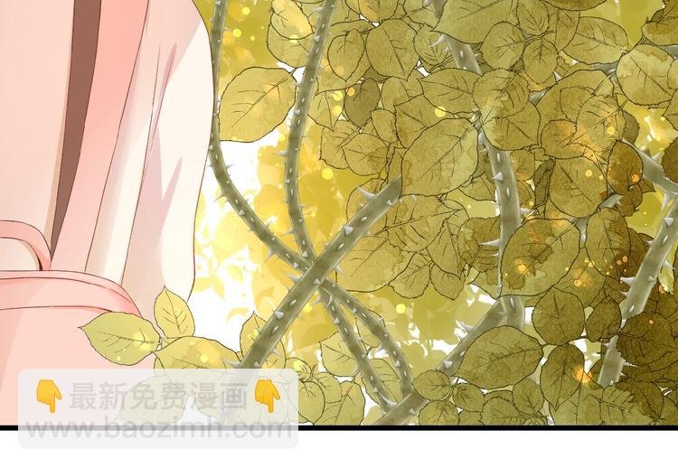 第20话 他的心意