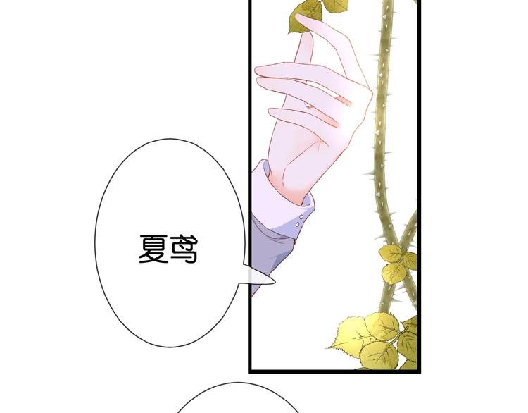 第20话 他的心意