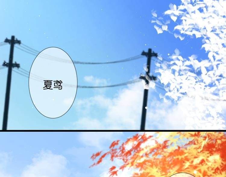 第29话 秘密与期限