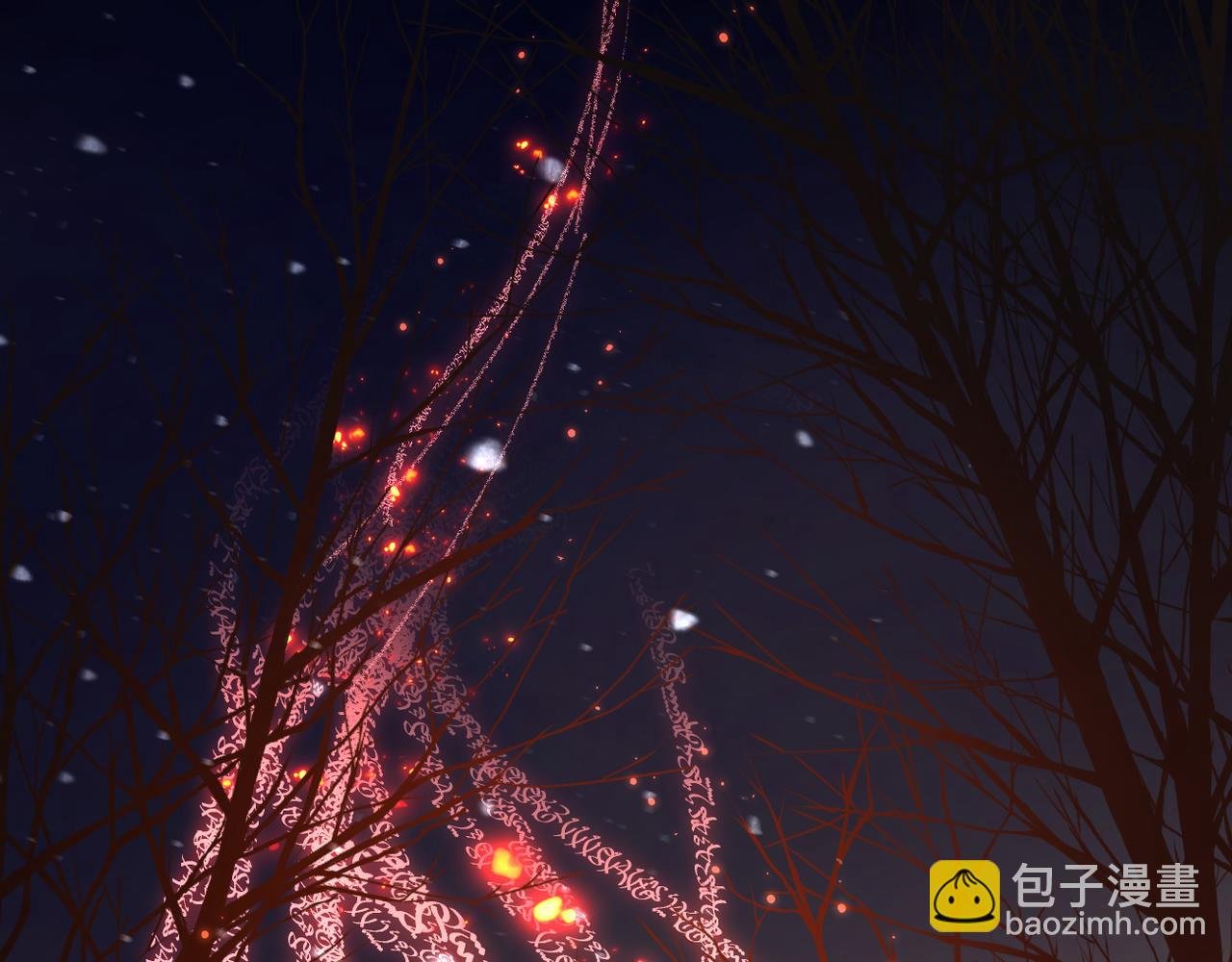第74话 最后一面
