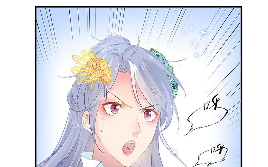 新作预告