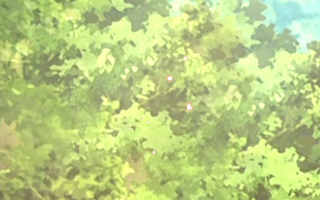 第57话 帝王之忧