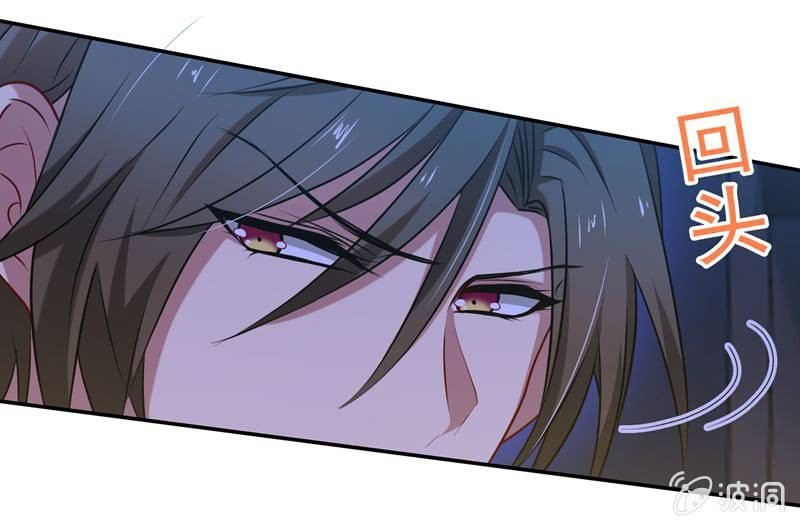 护花使者