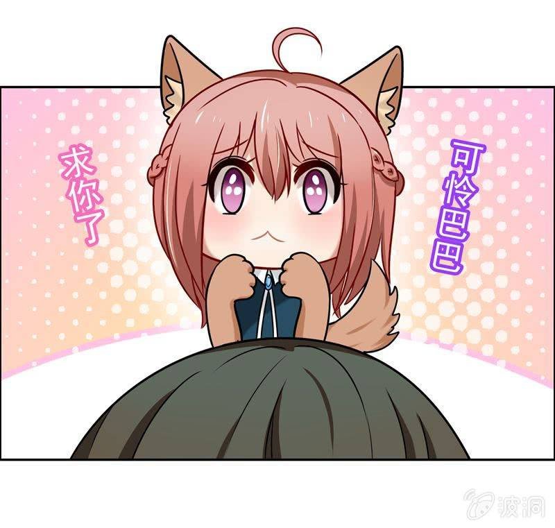 为天天打call！