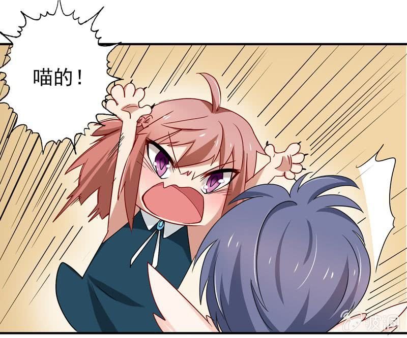 大打出手
