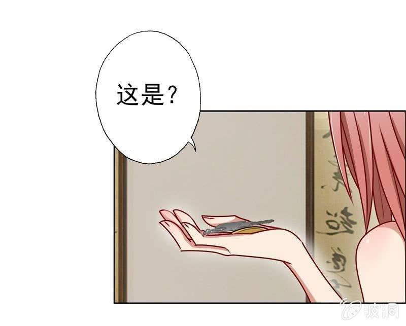 暴风雨前的宁静