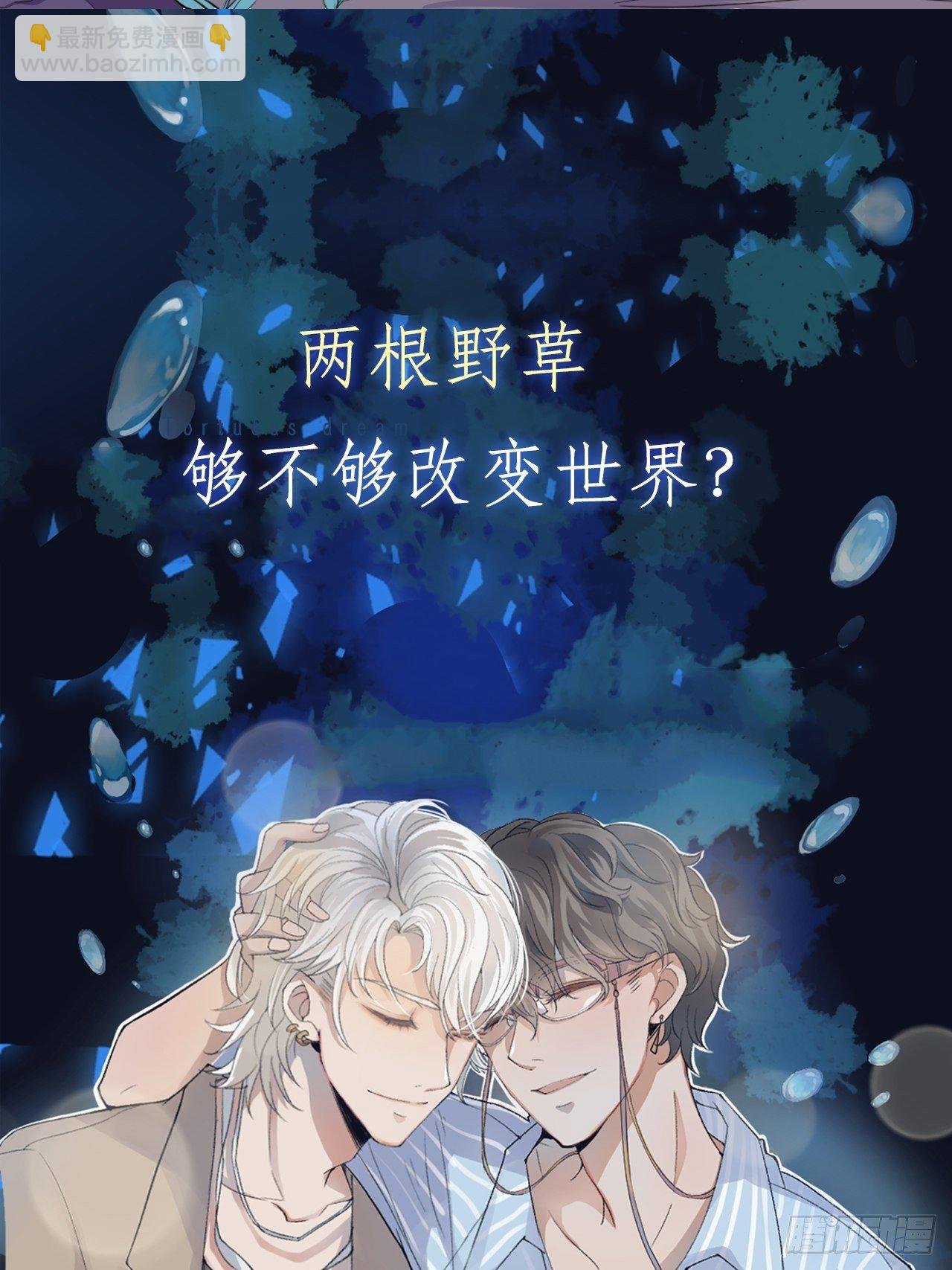 放料2：预告