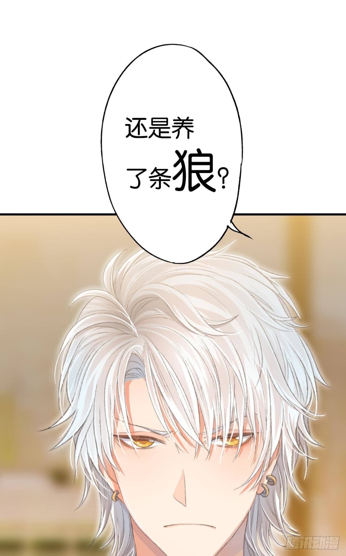 养了一只狼
