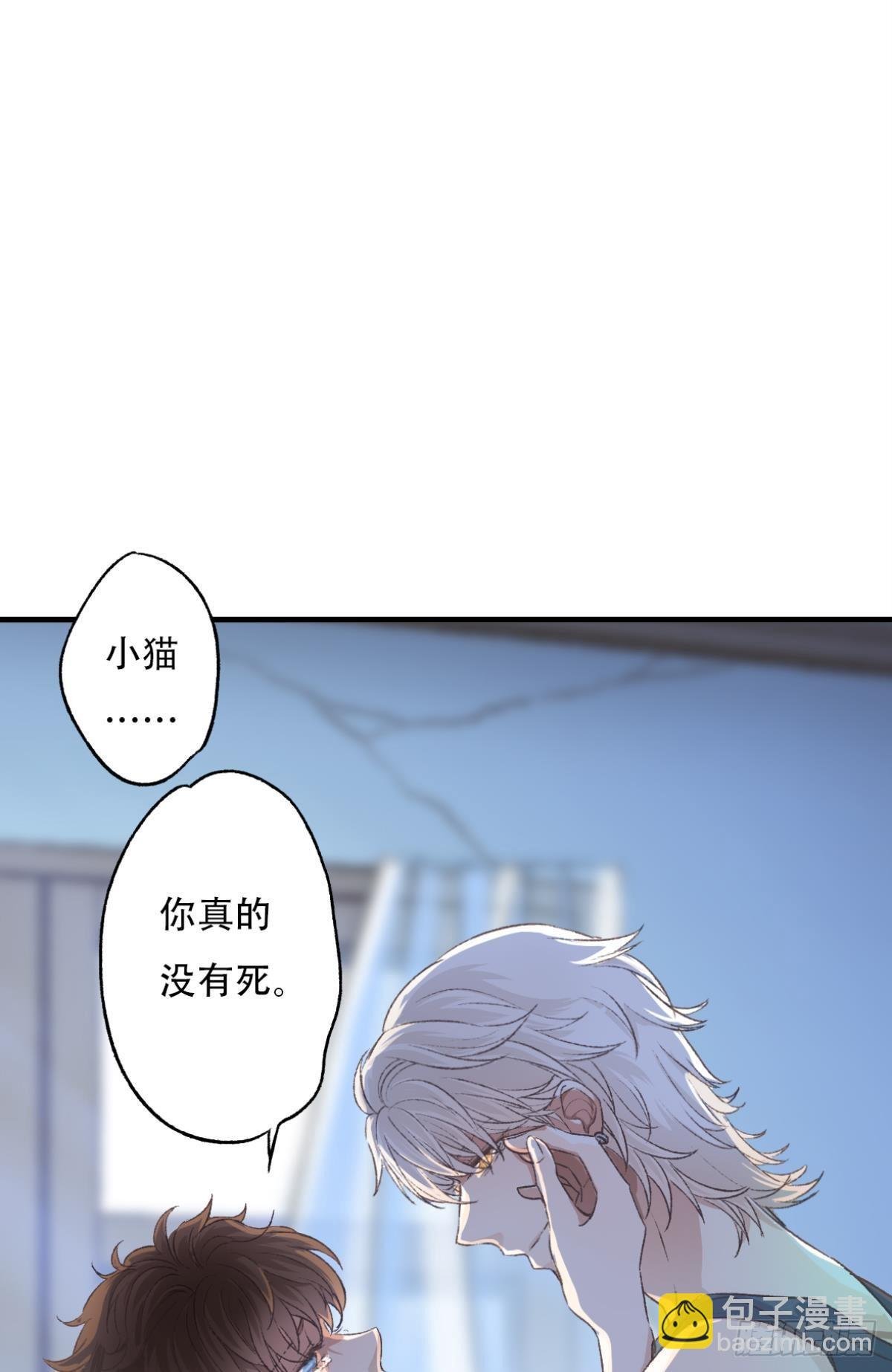 不是梦