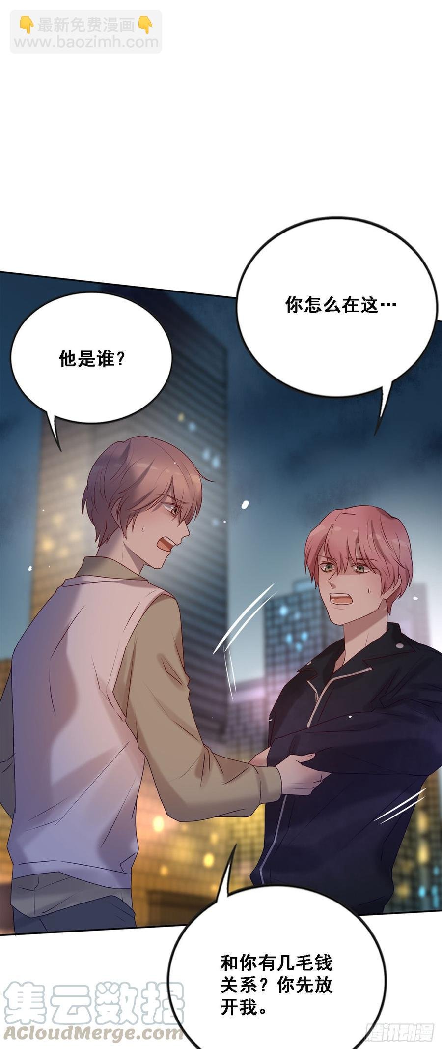 我只是替身