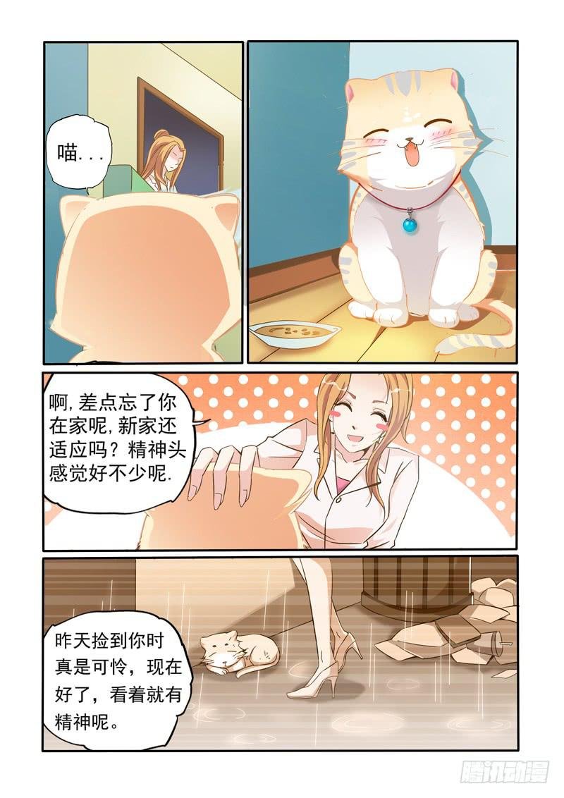 带去做绝育？