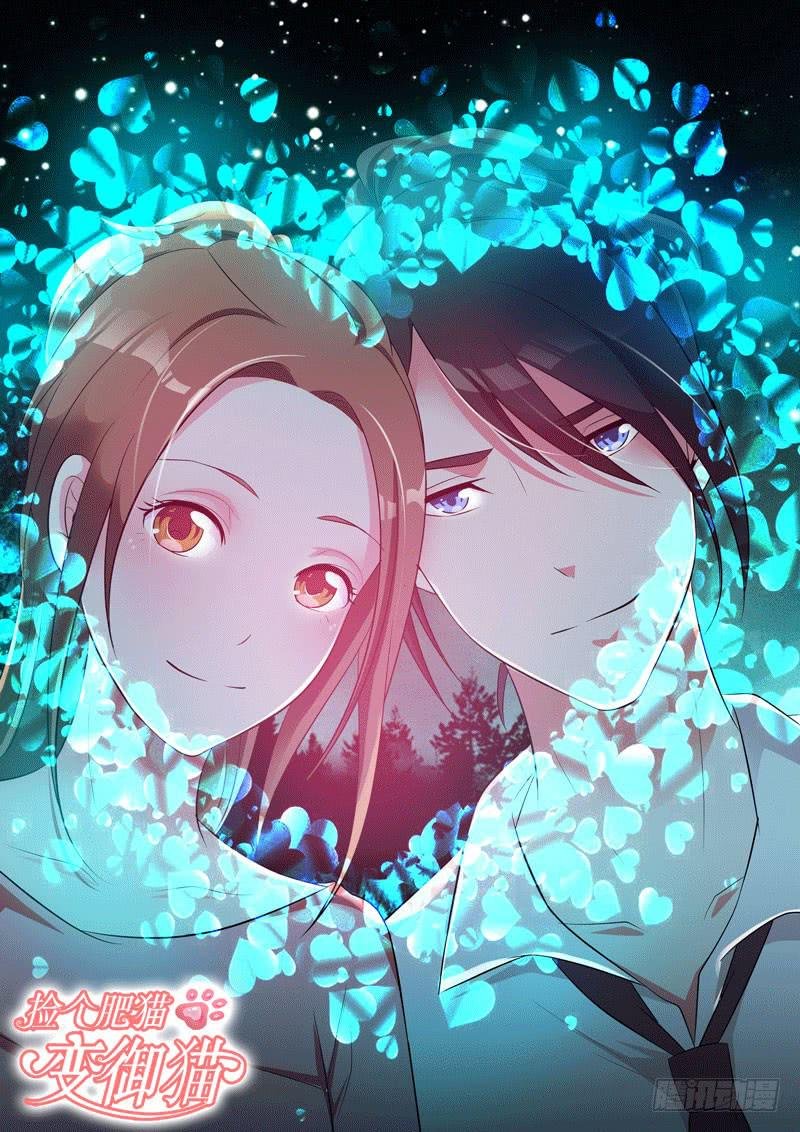 初识