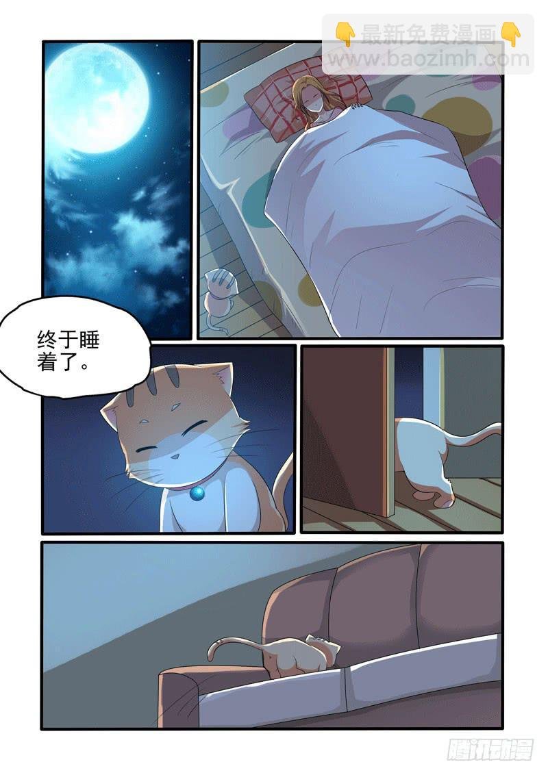 初识