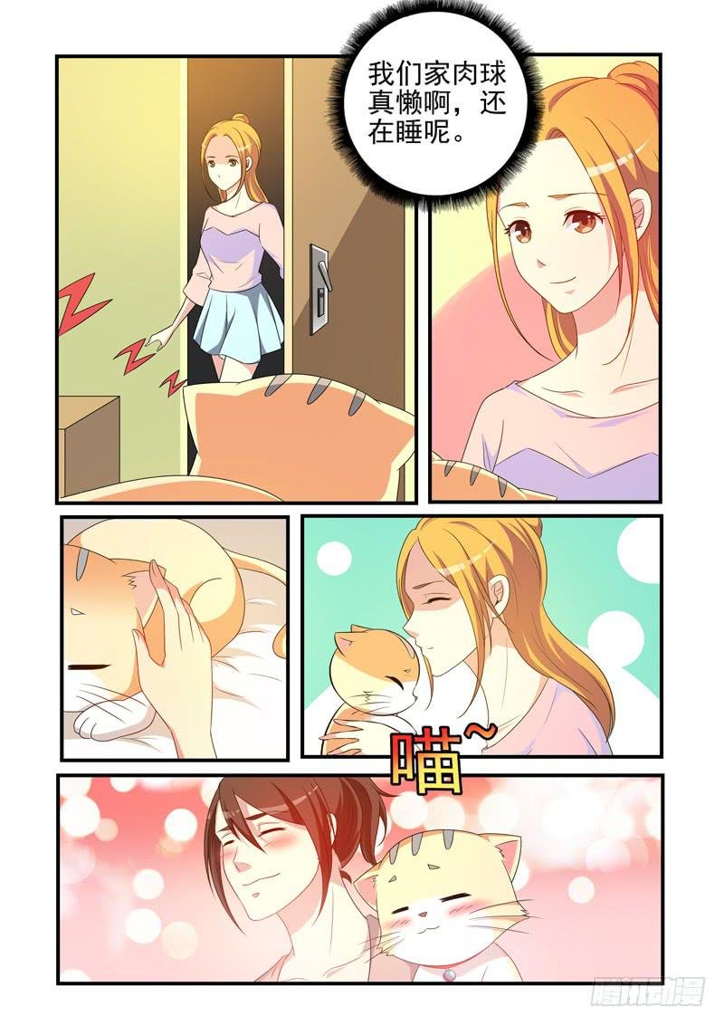 吃醋的肉球！