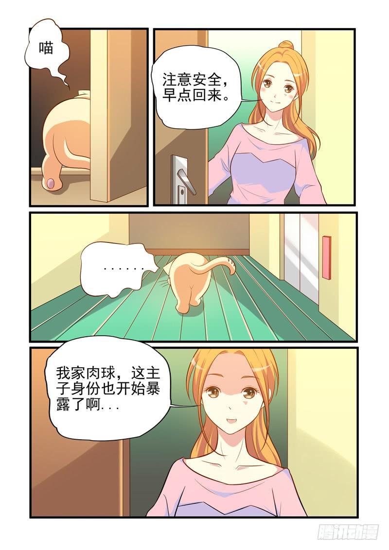 吃醋的肉球！