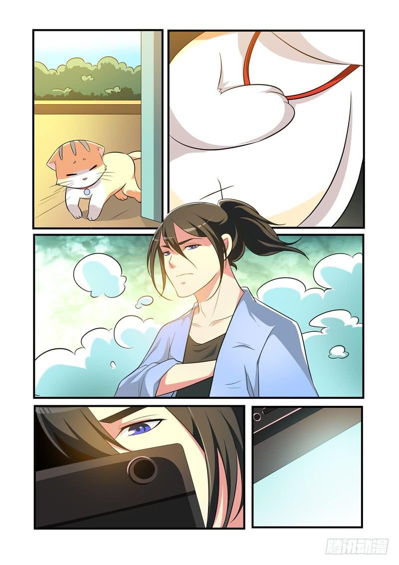 吃醋的肉球！