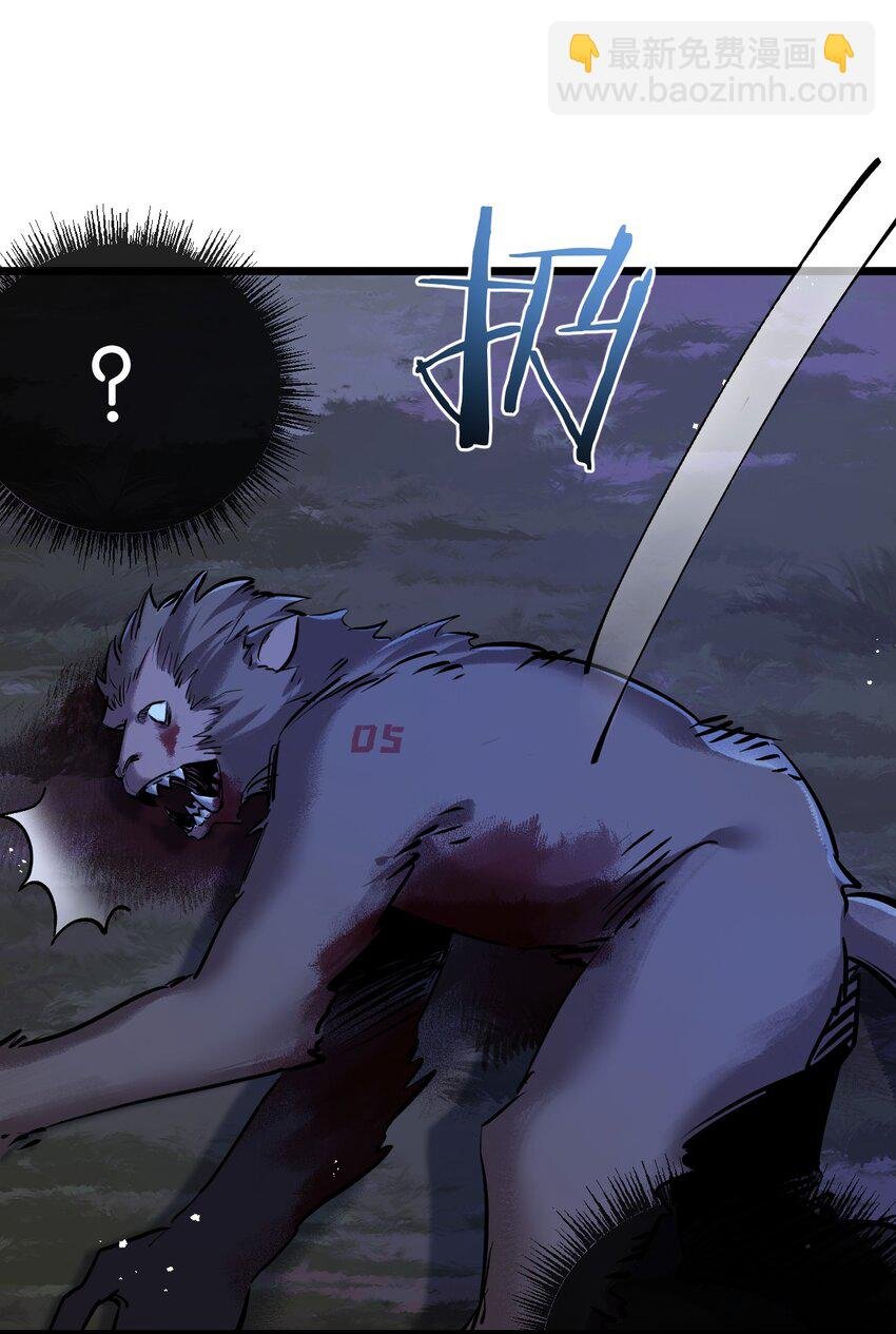第7话 小白有救了?