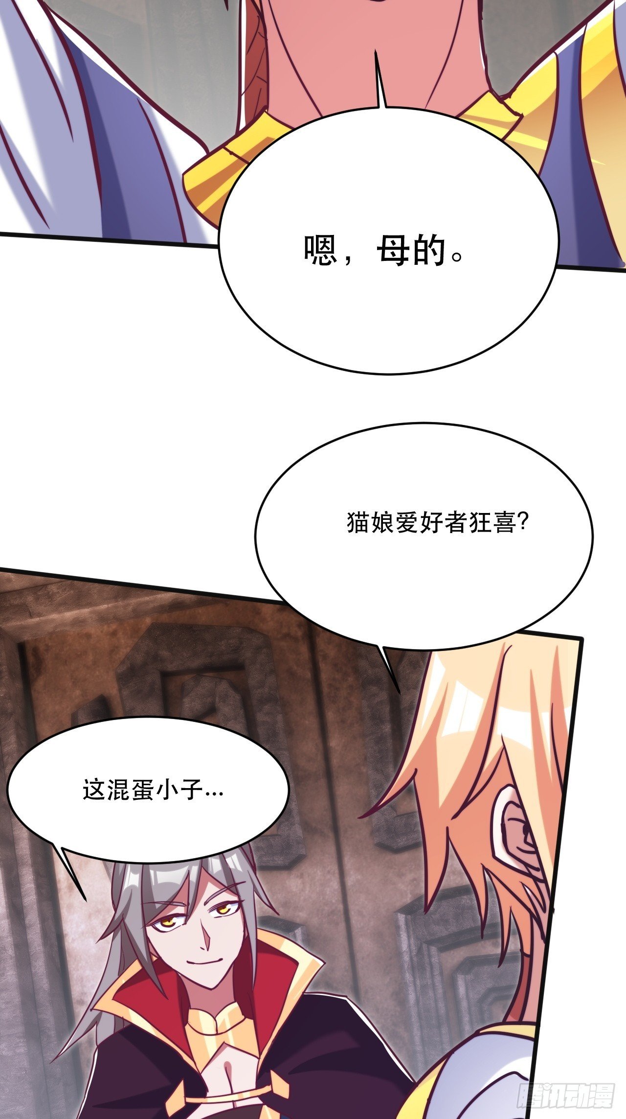 双瞳妖猫