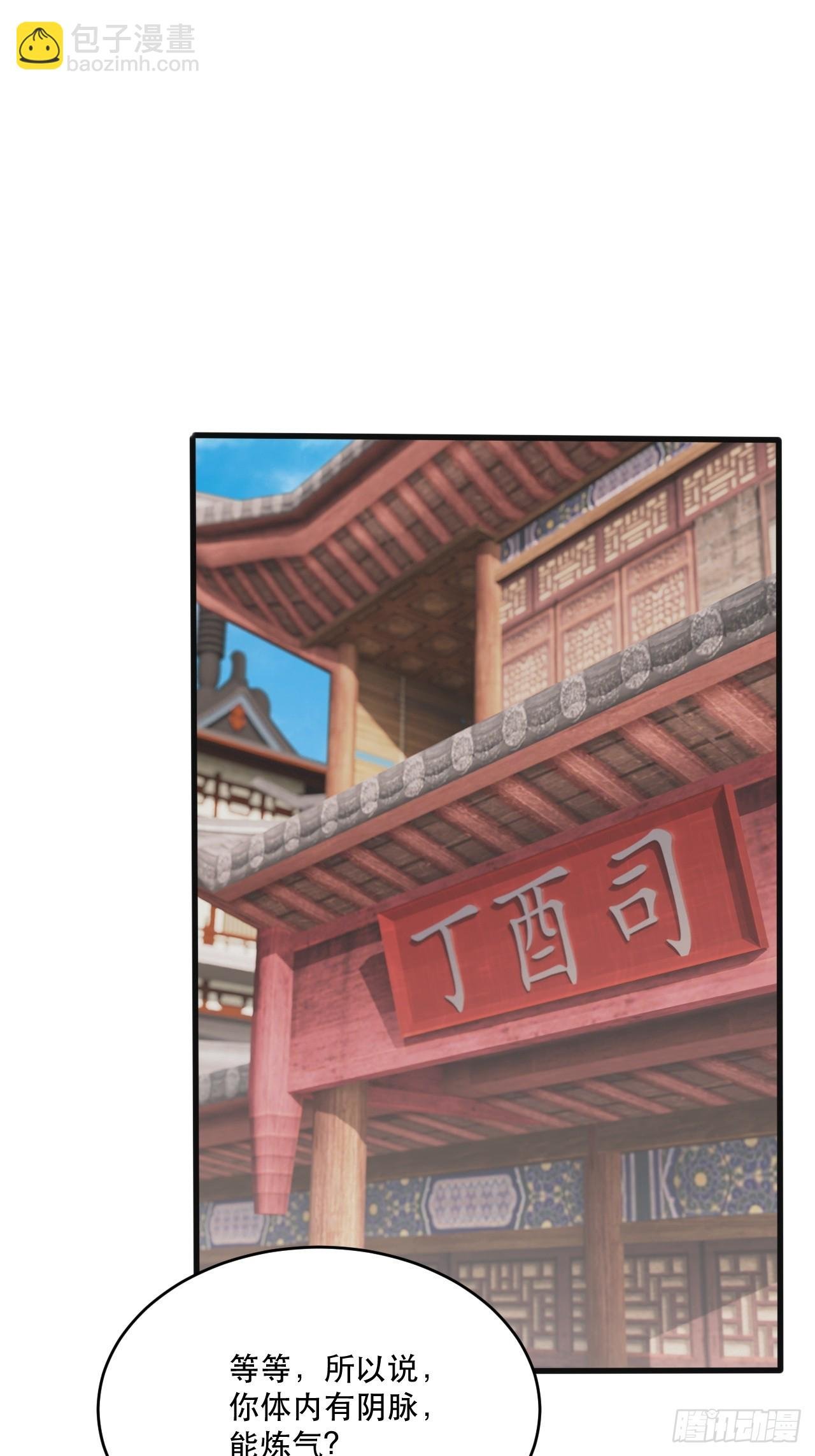 双瞳妖猫