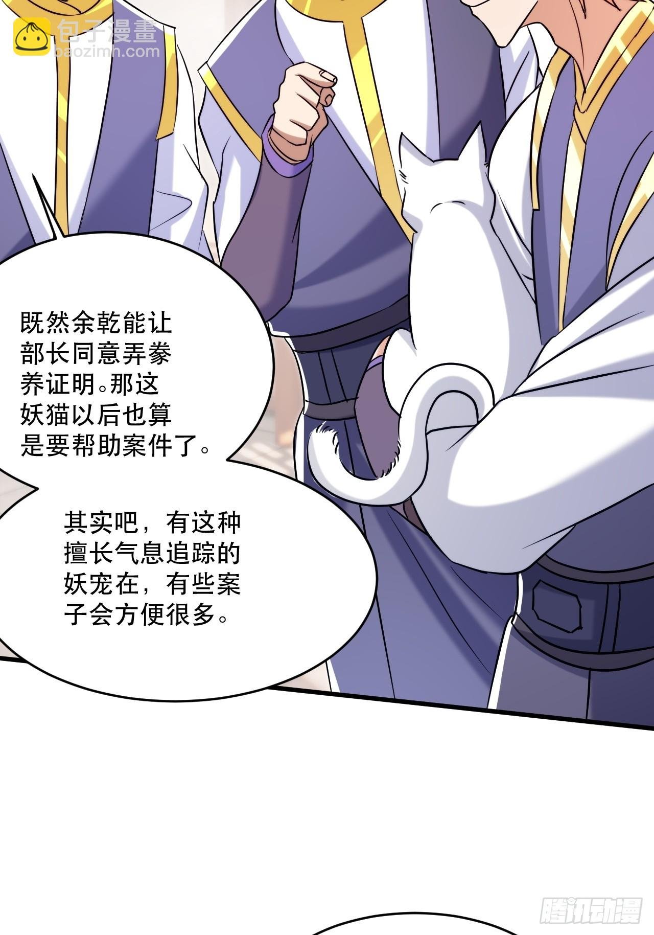 双瞳妖猫