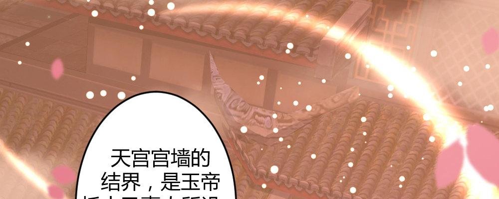 郎啊郎