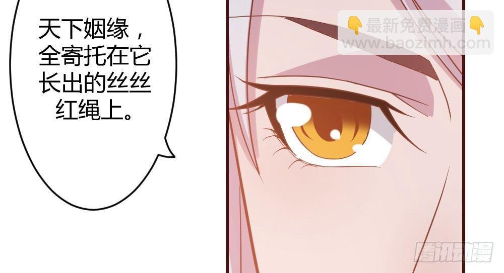 八卦