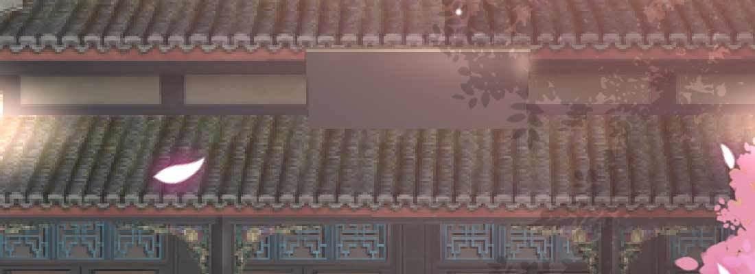 照看