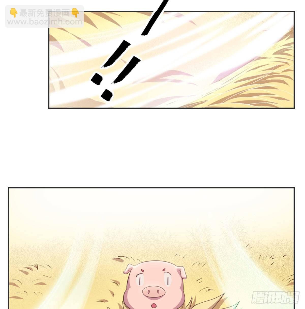 番外 傻猪有傻福