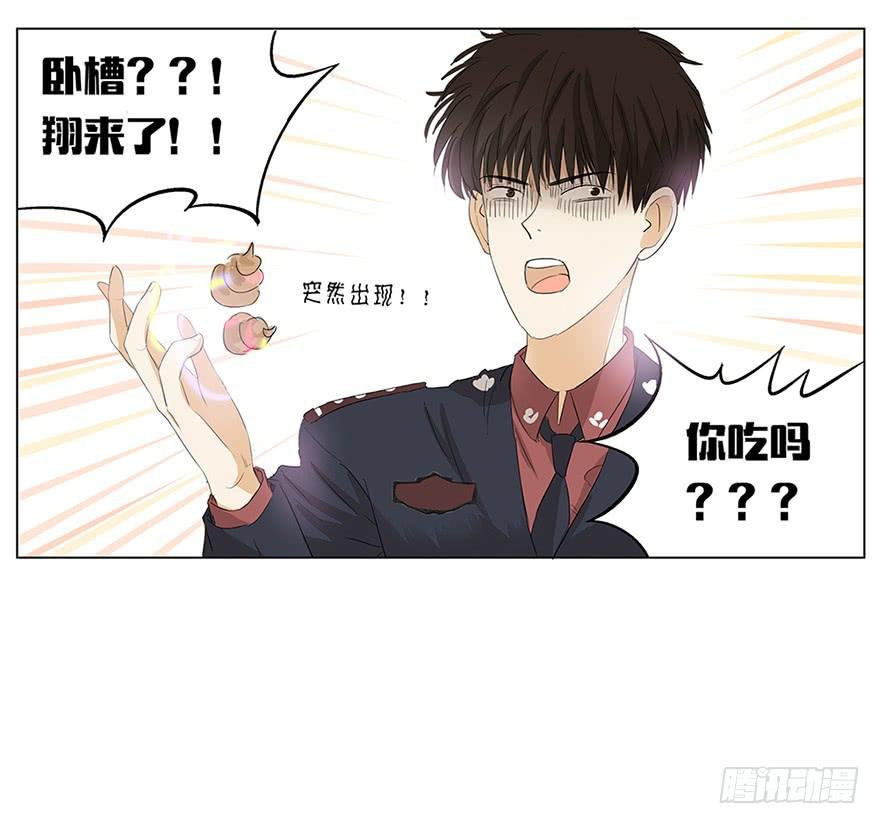 开启自由飞“翔”的人生
