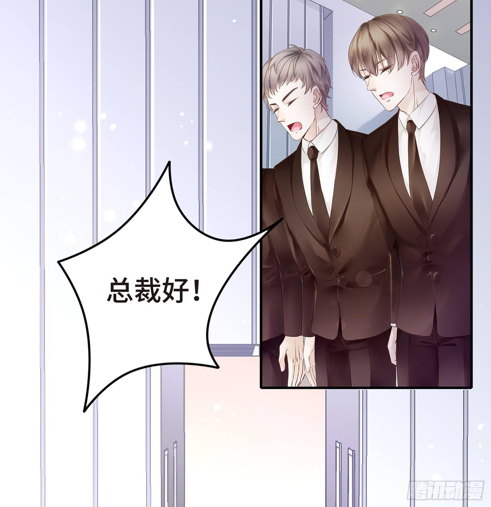 初见，我的男主角